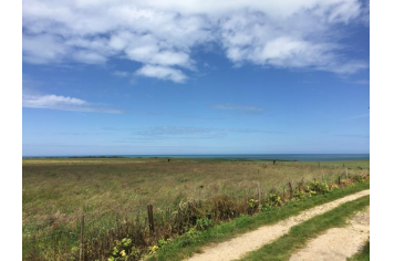 Au détour d'un chemin de randonnée OT TC