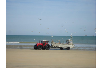 Le retour des bateaux de pêche OT TC - Marie Bieuville